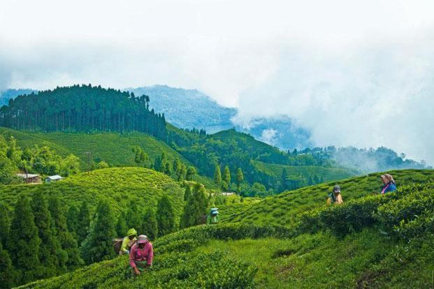 Hotel Central View - Darjeeling Дарджилинг Экстерьер фото